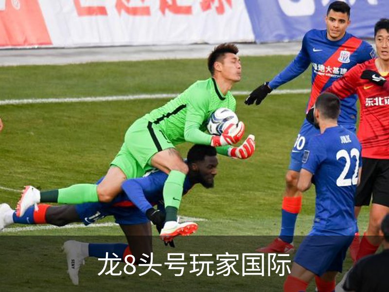 龙8头号玩家国际简介